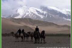 pict0065