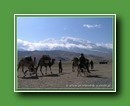 tn_pict0109