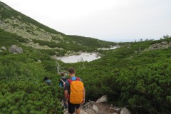 Szkolenie botaniczne przewodników