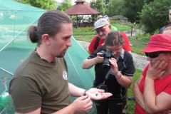 img_8264