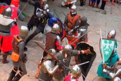 igp0258_zgiek_bitewny1