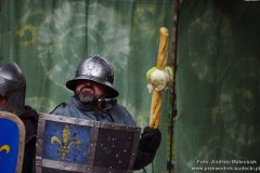chojnik_2017_059