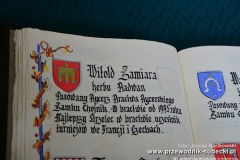 26-turniej-rycerski-o-zoty-bet-zamku-chojnik309